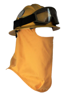 FACE PROTECTOR